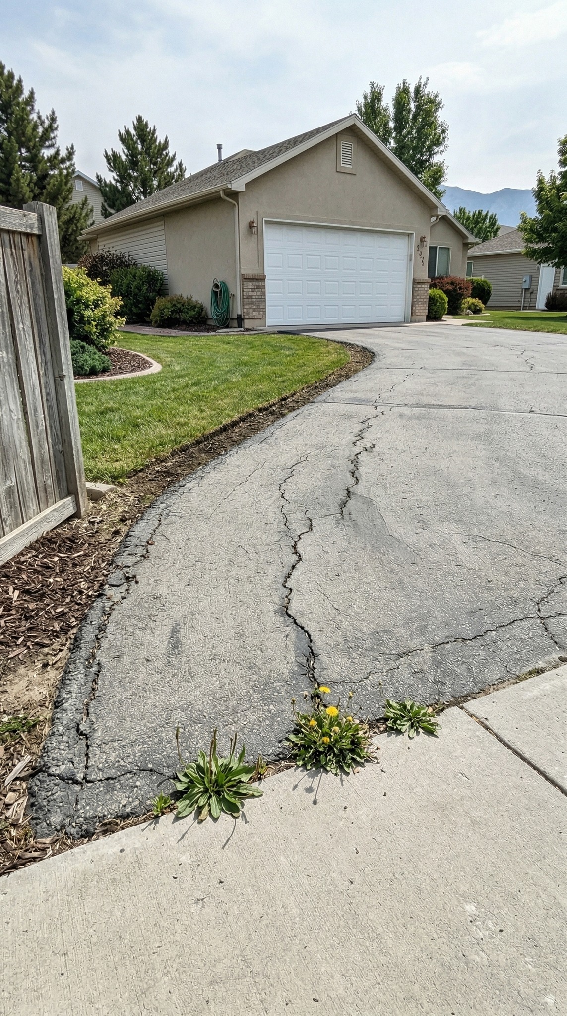 Cracked old asphalt driveway with weeds growing through, before D&M Paving resurfaced it