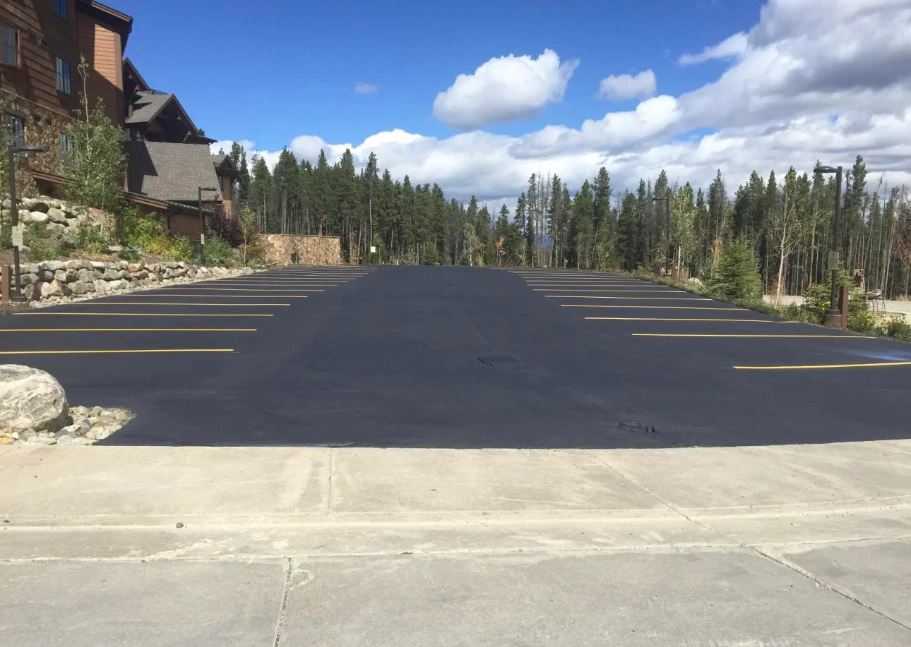 Private mountain road paved through pine forest