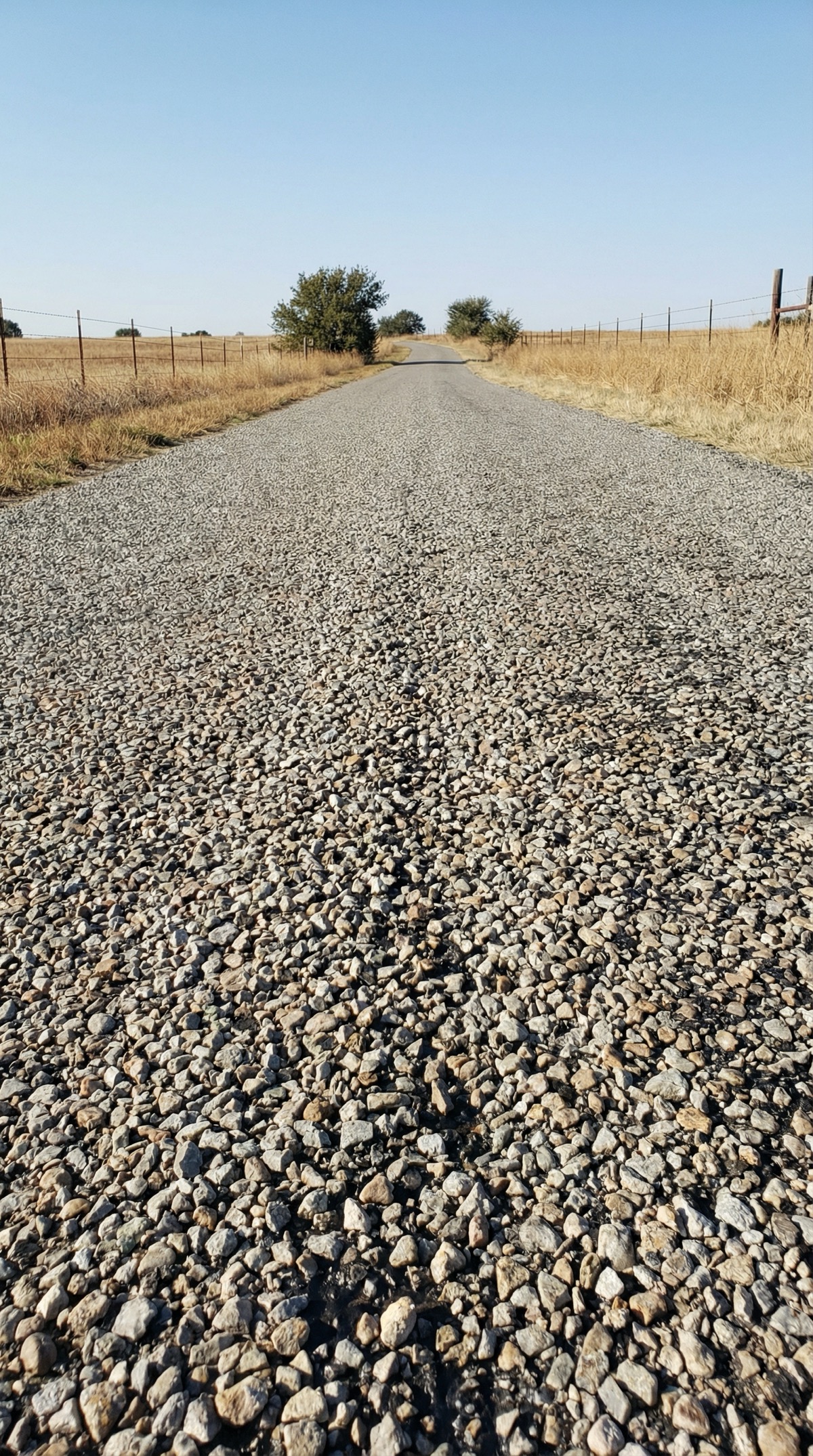 Rural chip seal road